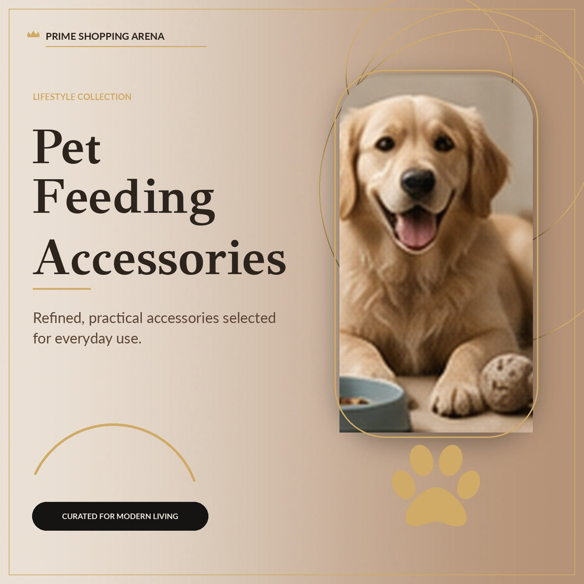 Pet Feeding Accessories